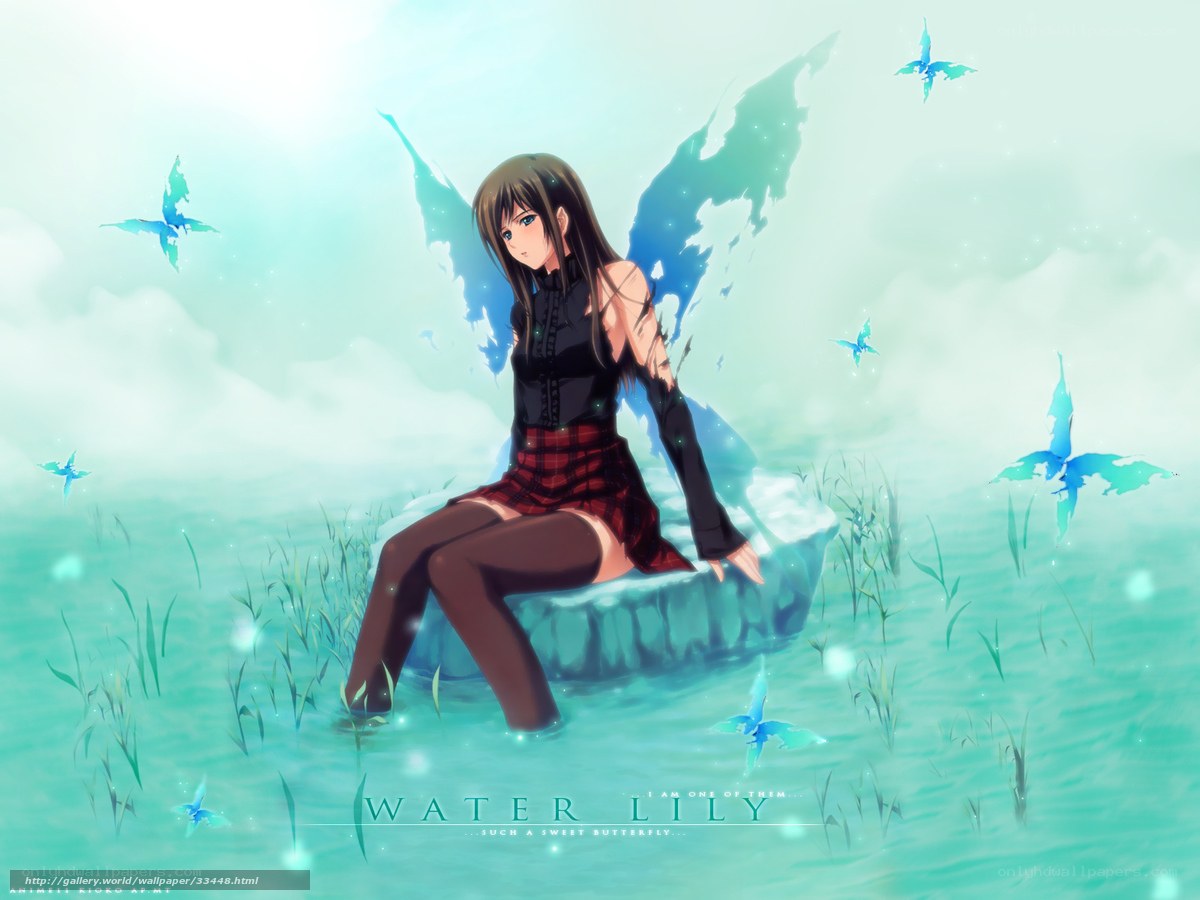 Water Lily Fairy