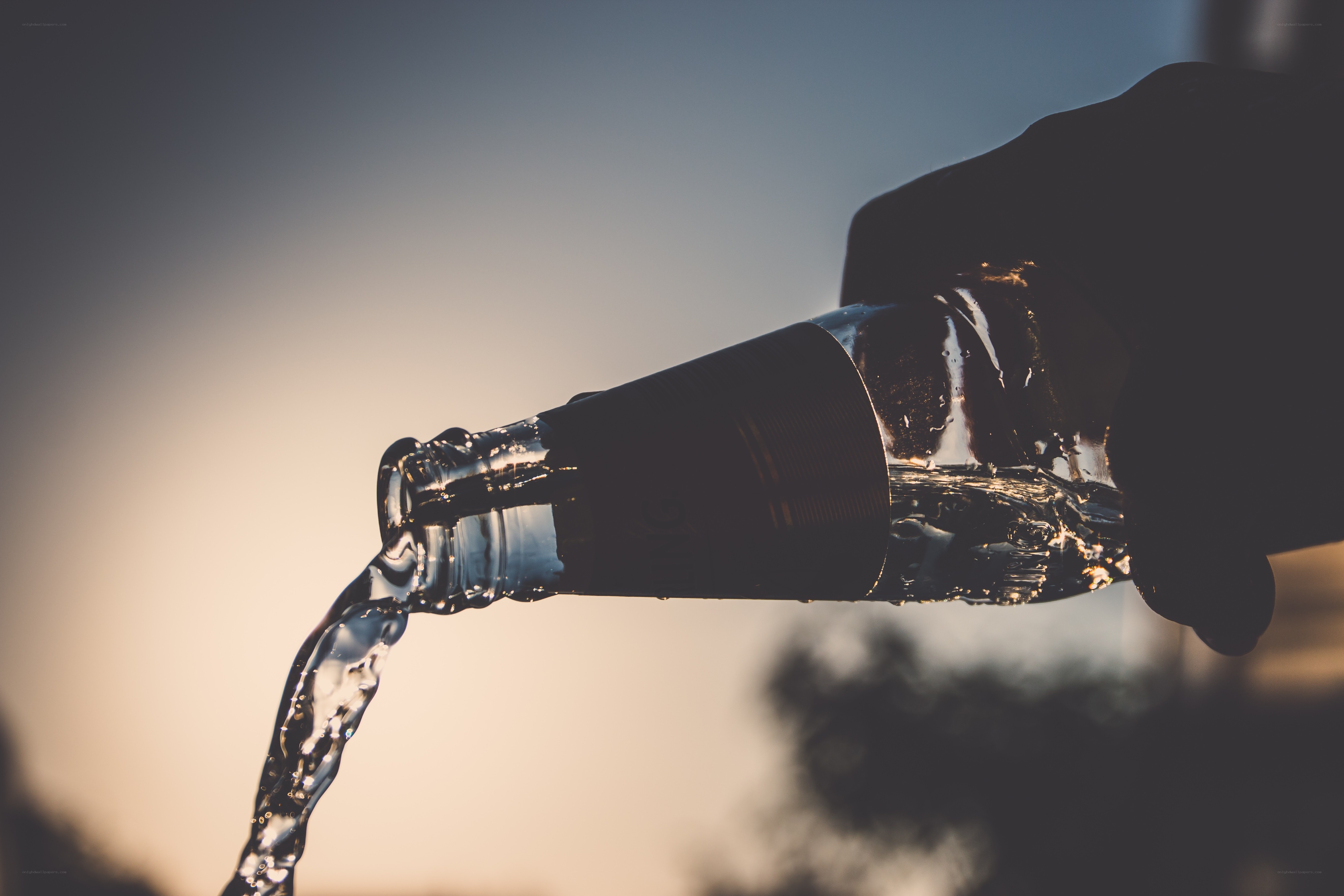 Water pouring from a bottle