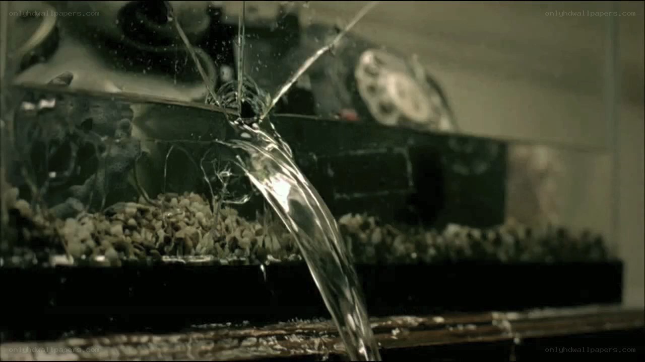 Water pouring from broken aquarium