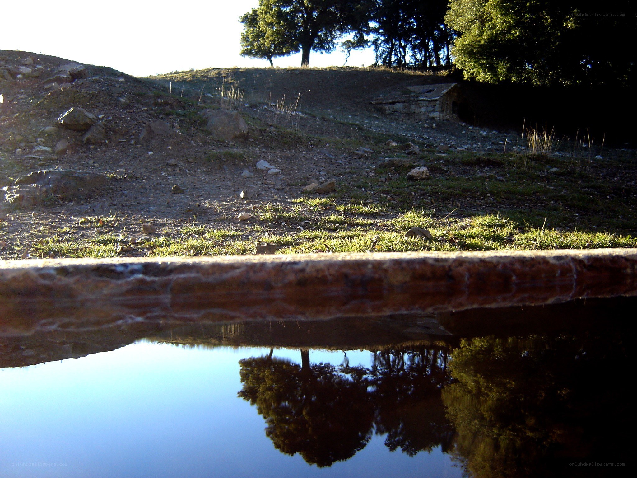 Water reflecting trees and hillside
