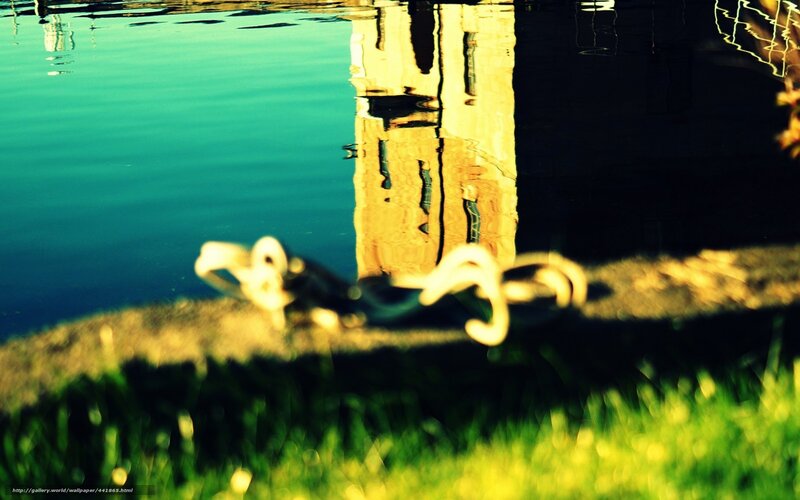 Water Reflections and Chain