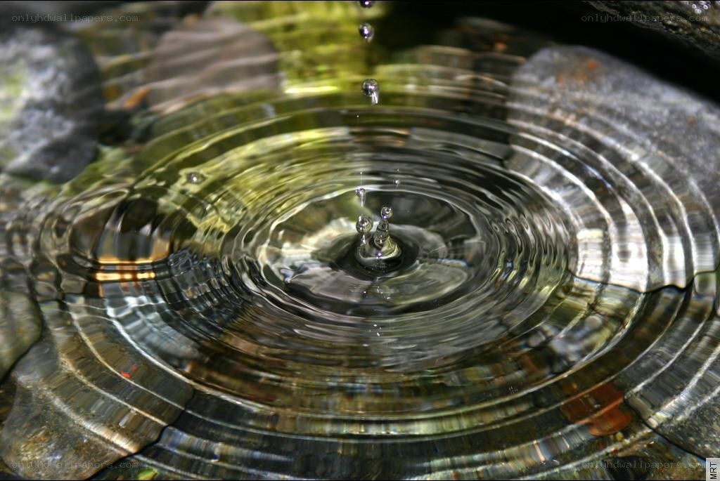 Water ripple from a falling drop