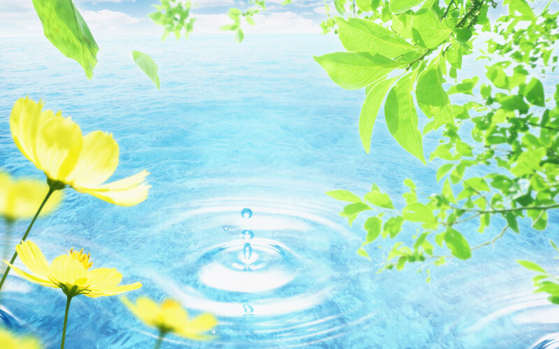 Water ripple with flowers and leaves