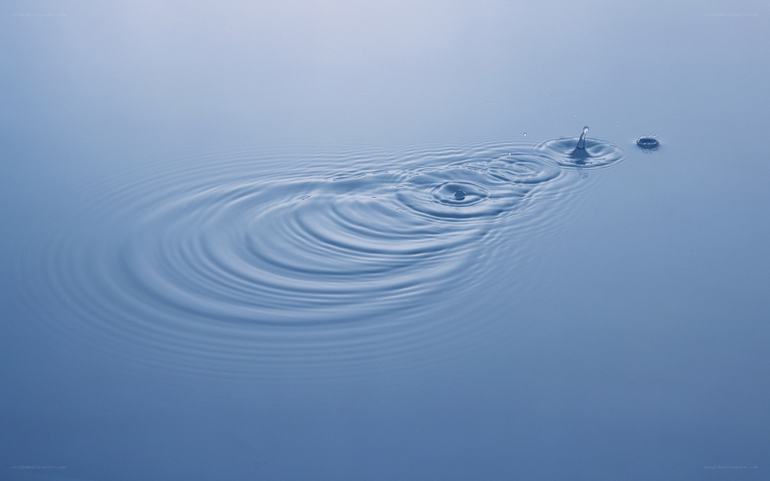 Water ripples from a falling drop