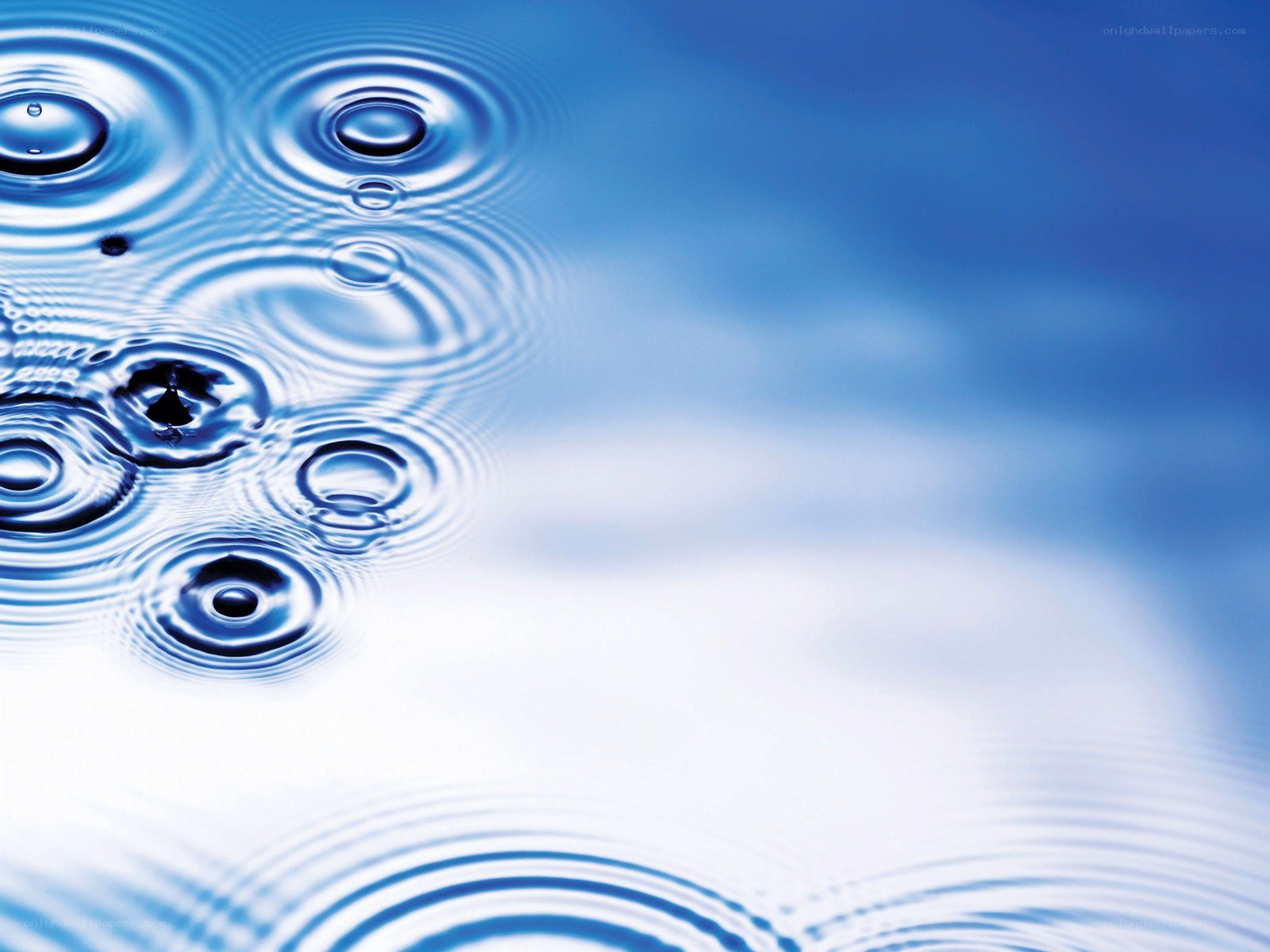 Water ripples from raindrops