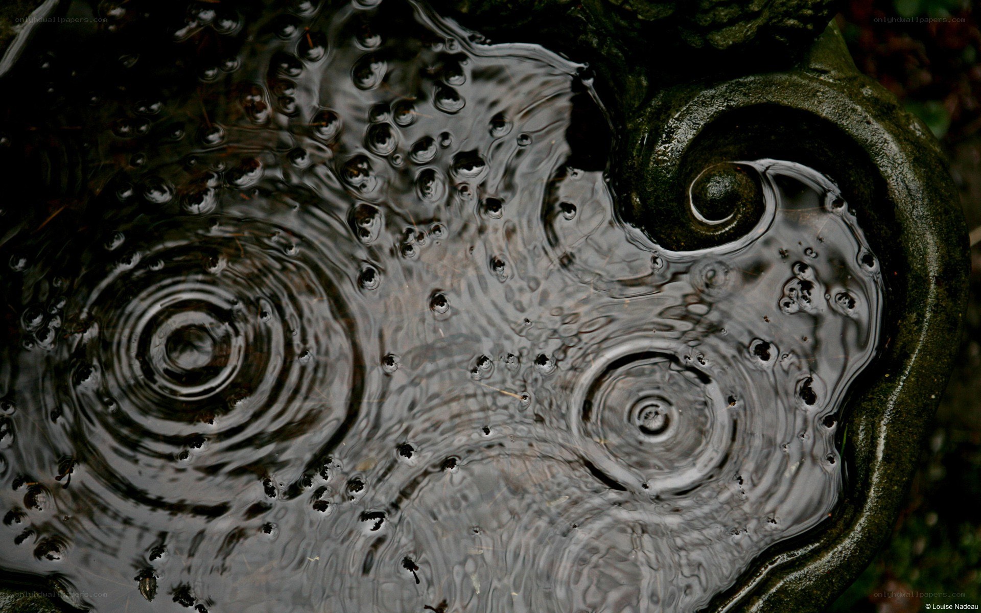 Water ripples in a stone basin