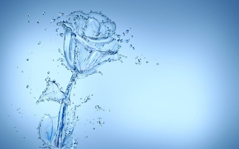 Water Rose Flower — Blue, Serene, Digital Art