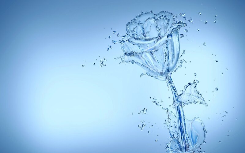 Water Rose Flower — Blue, Serene