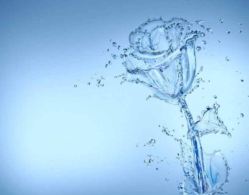 Water Rose Flower — Blue