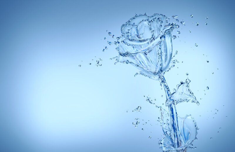 Water rose in motion
