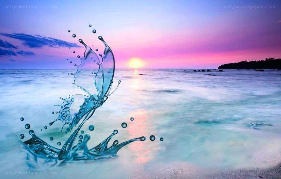 Water splash butterfly at sunset