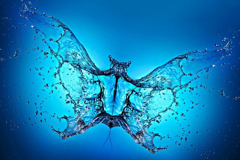 Water Splash Butterfly