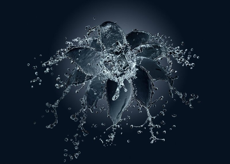 Water Splash Flower