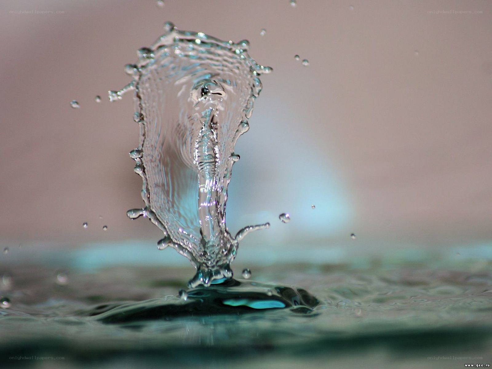 Water splash in slow motion