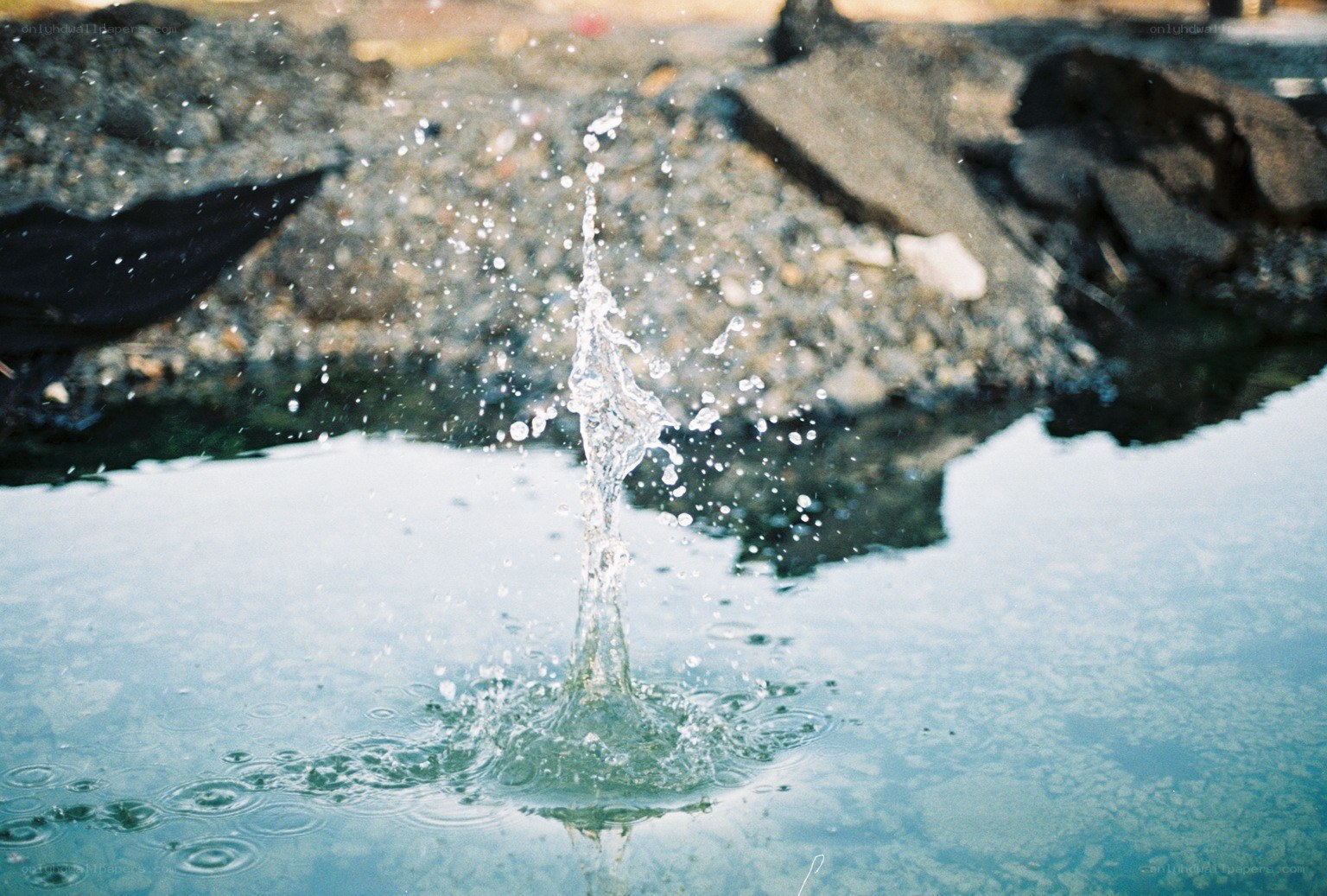 Water splashing in a puddle