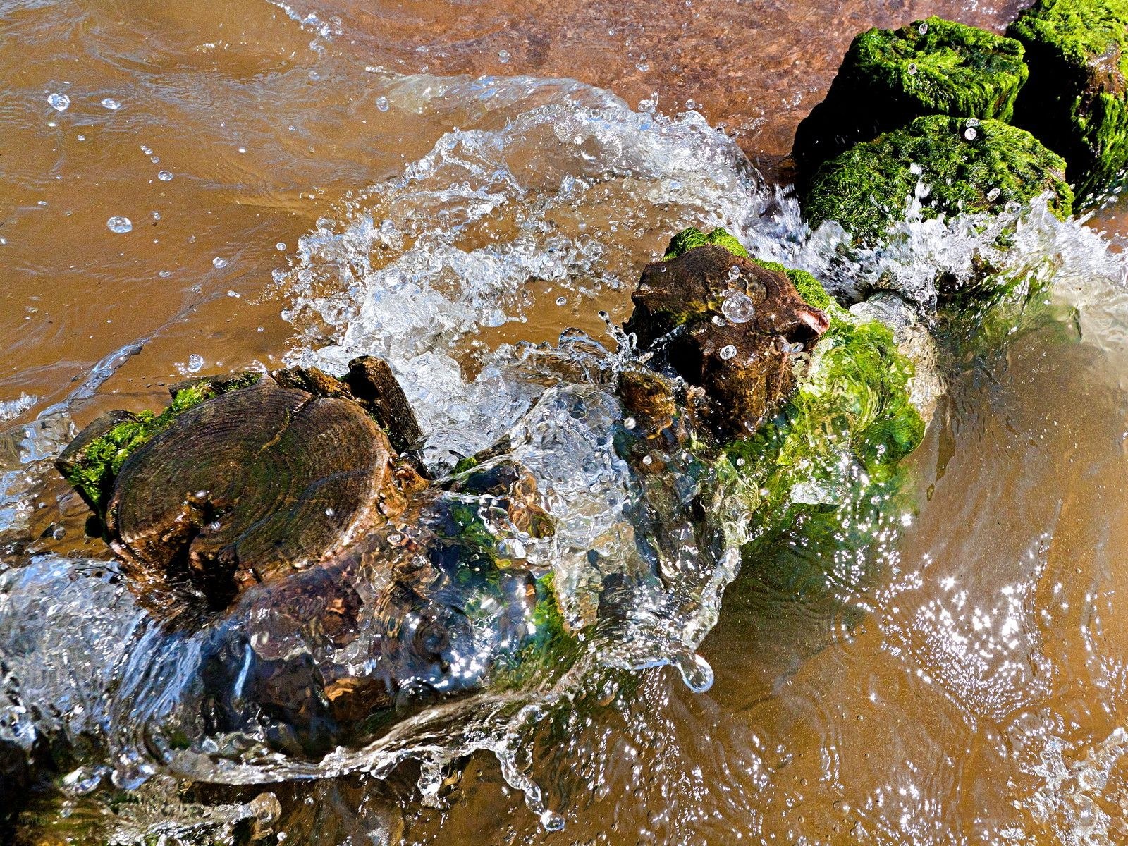 Water splashing on mossy logs