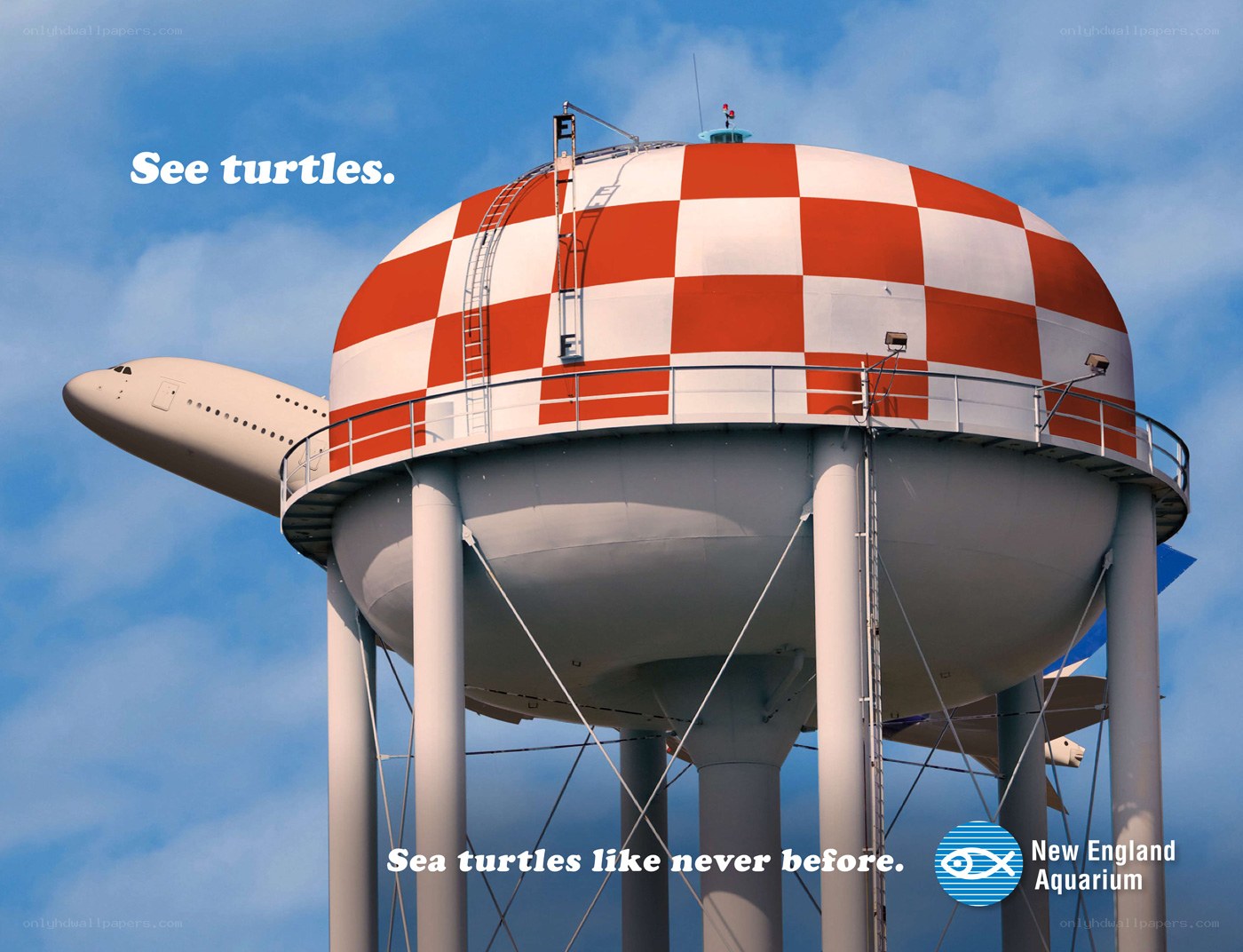Water tower turtle ad