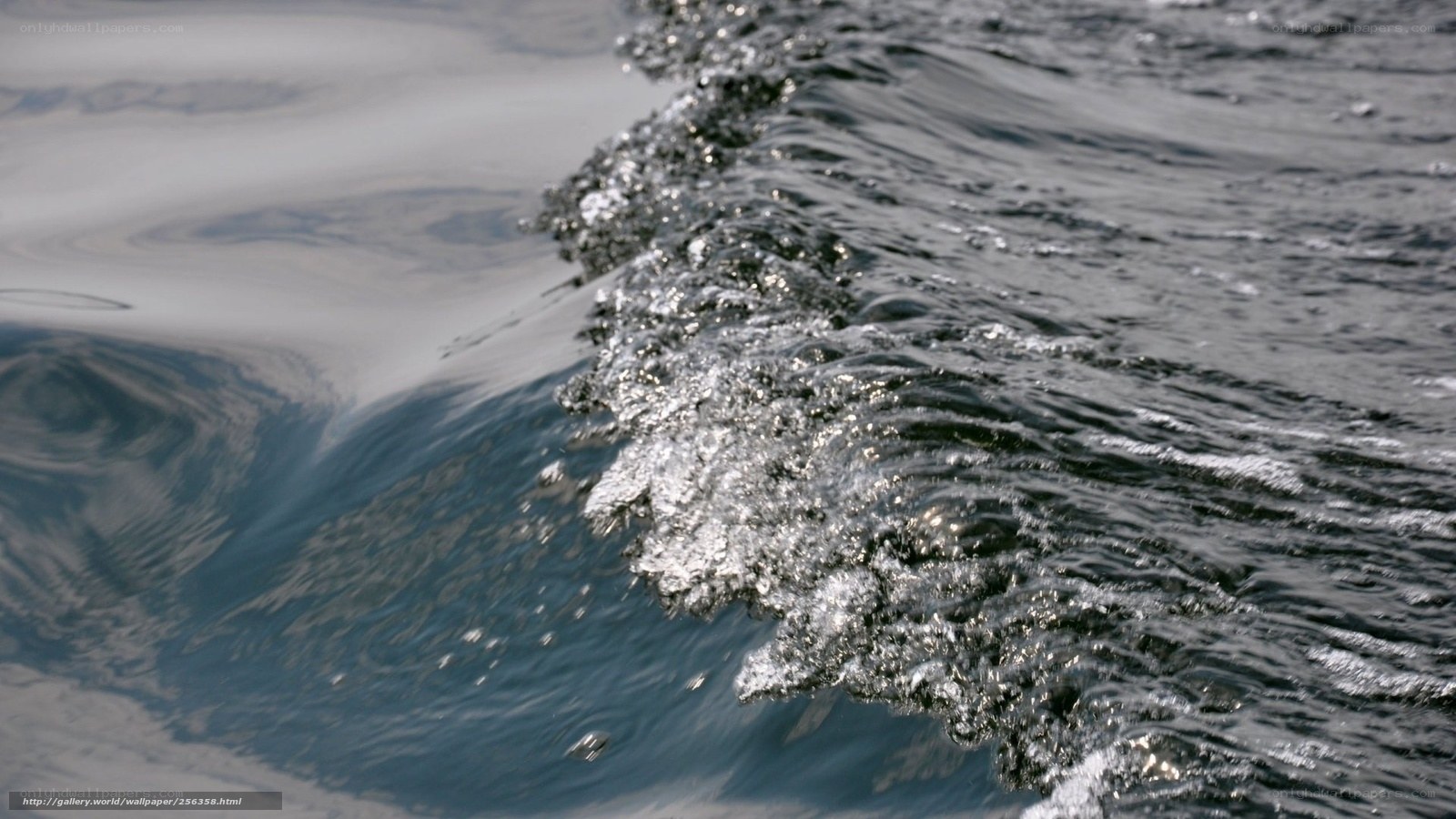 Water wave with foam