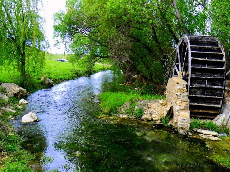 Water wheel by a river