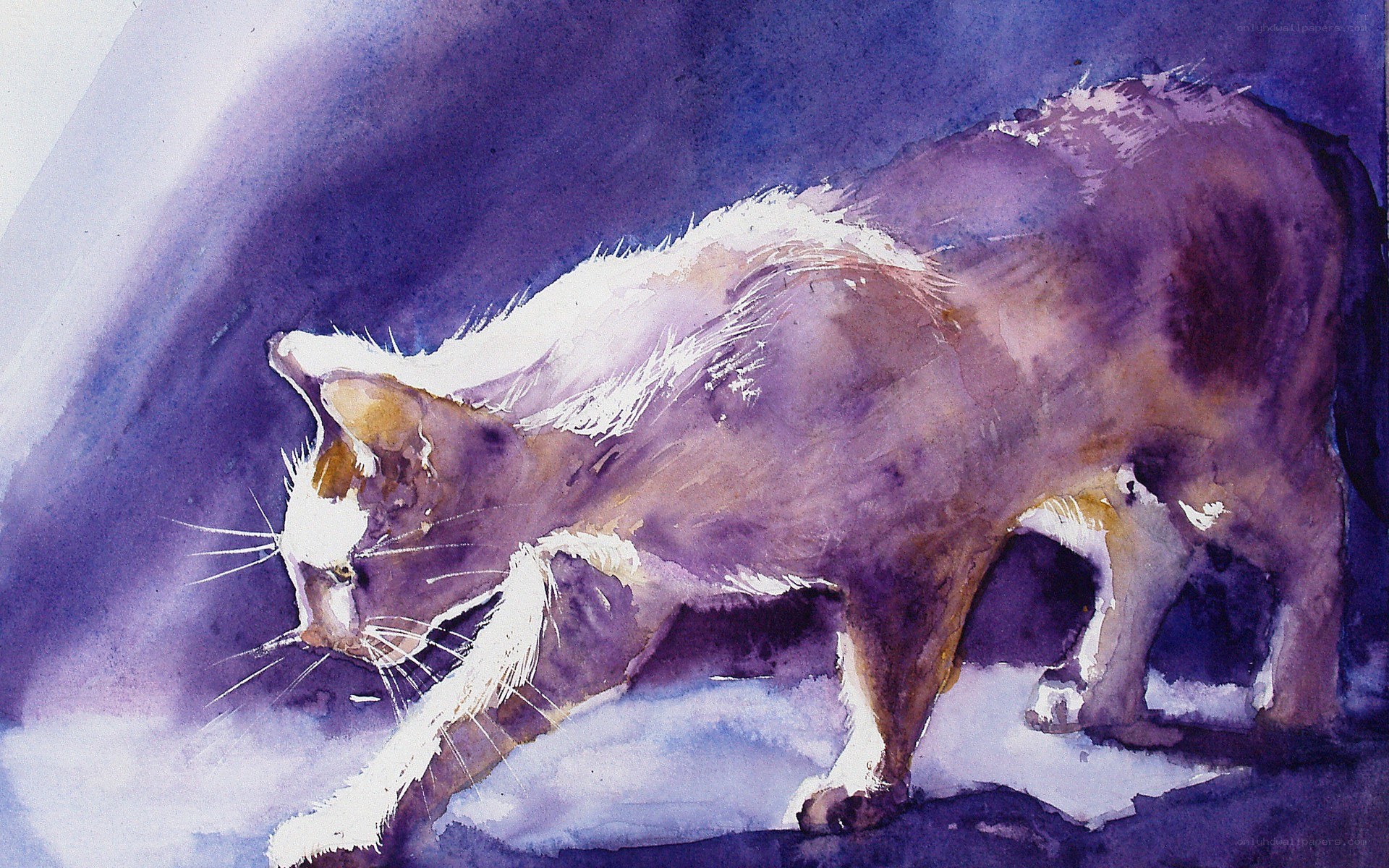 Watercolor cat in motion