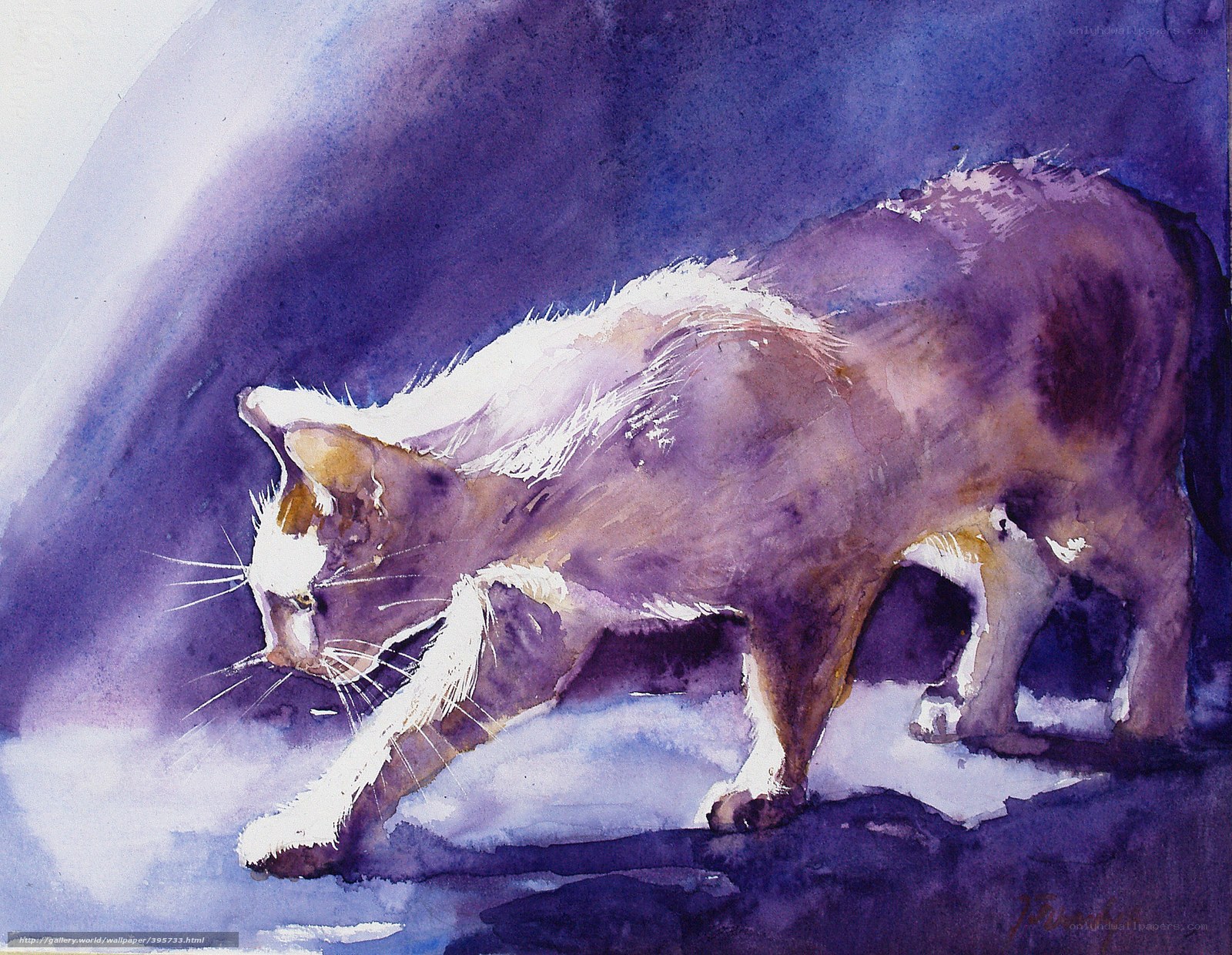 Watercolor cat in purple light