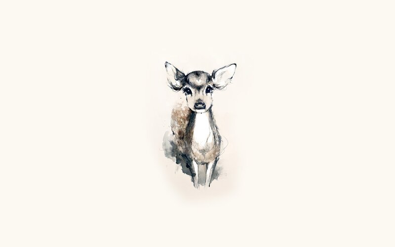 Watercolor deer illustration