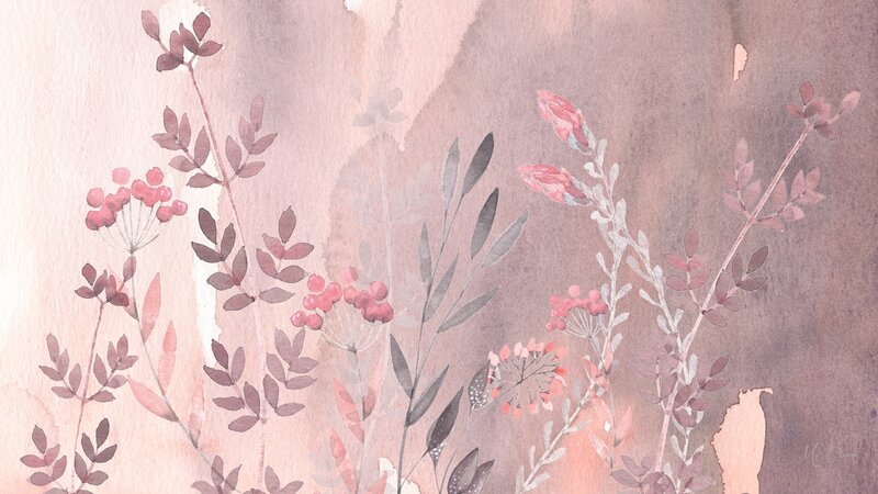 Watercolor Floral Illustration — Pink