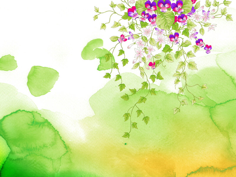 Watercolor floral vine illustration