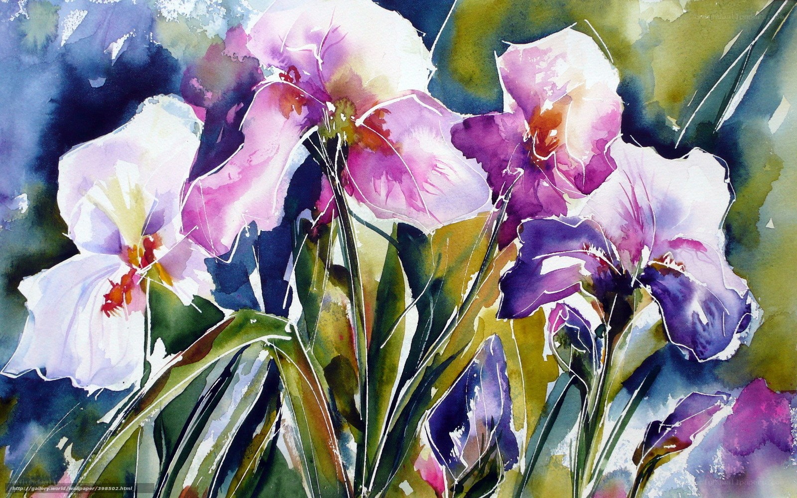 Watercolor irises in bloom