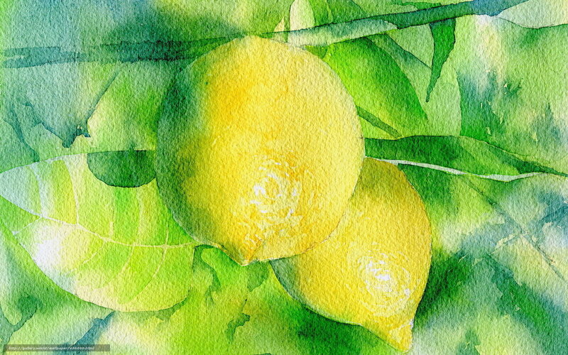 Watercolor lemons on tree