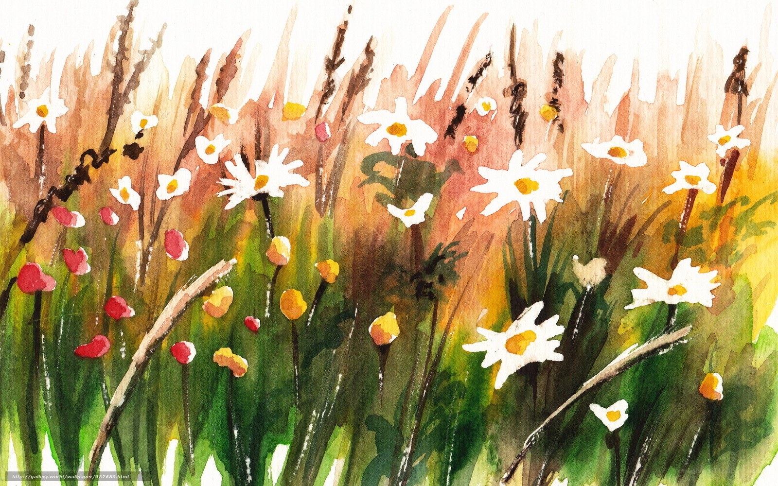 Watercolor meadow with daisies
