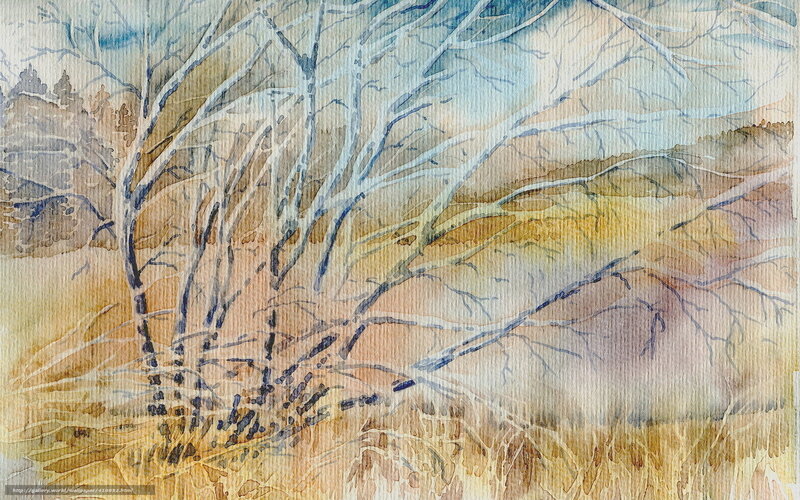 Watercolor of bare trees