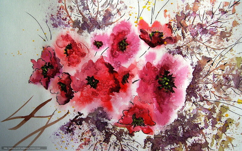 Watercolor poppy flowers
