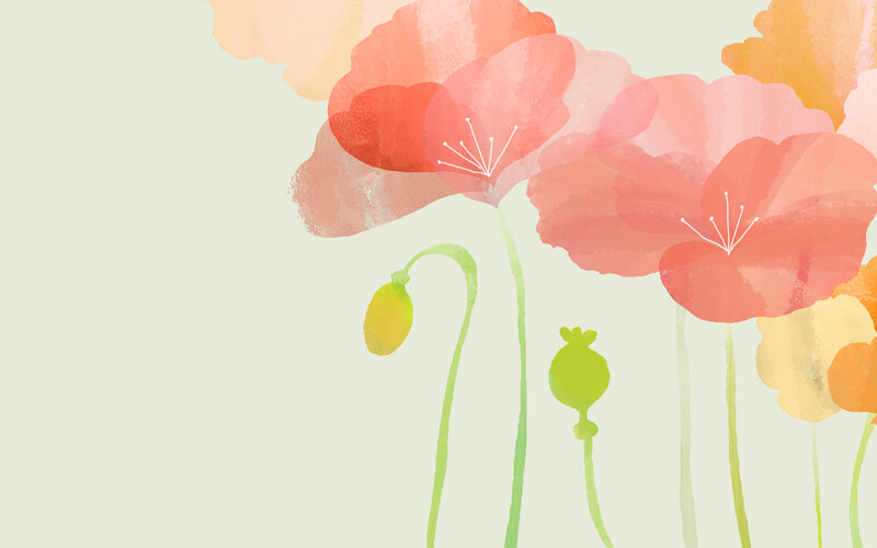Watercolor poppy flowers