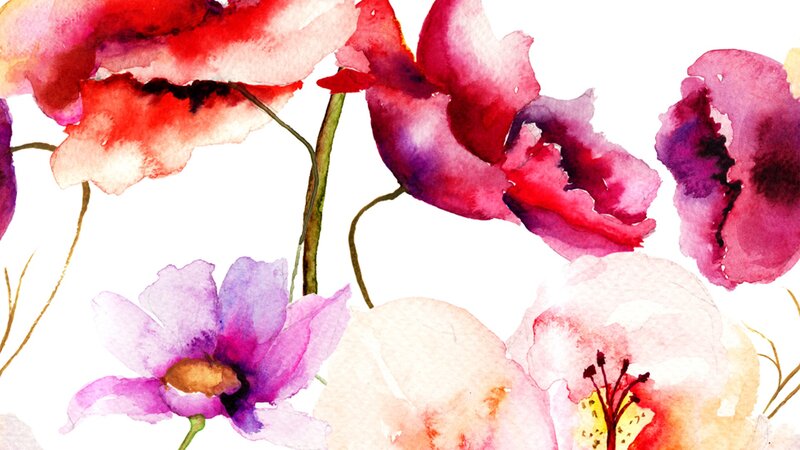 Watercolor Poppy Flowers — Red
