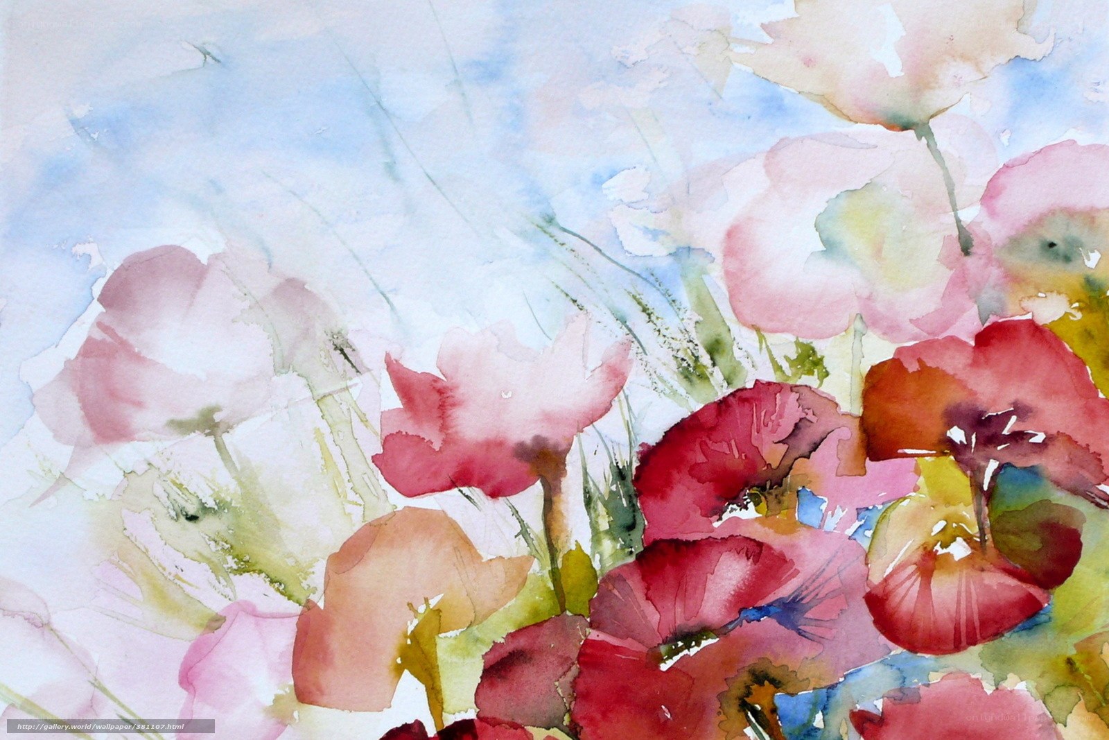 Watercolor poppy flowers