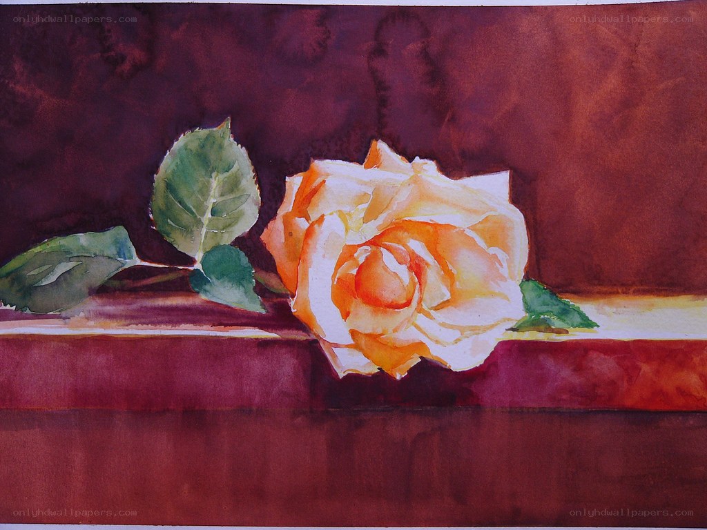 Watercolor rose on red surface