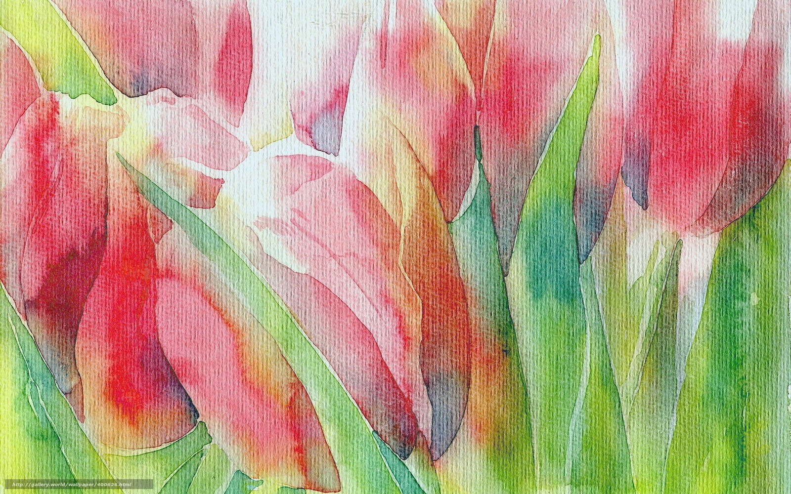Watercolor tulips painting
