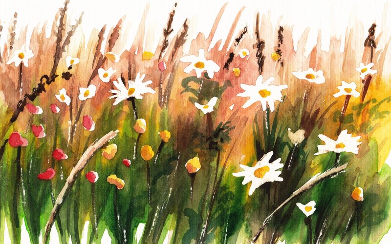 Watercolor wildflowers in a field