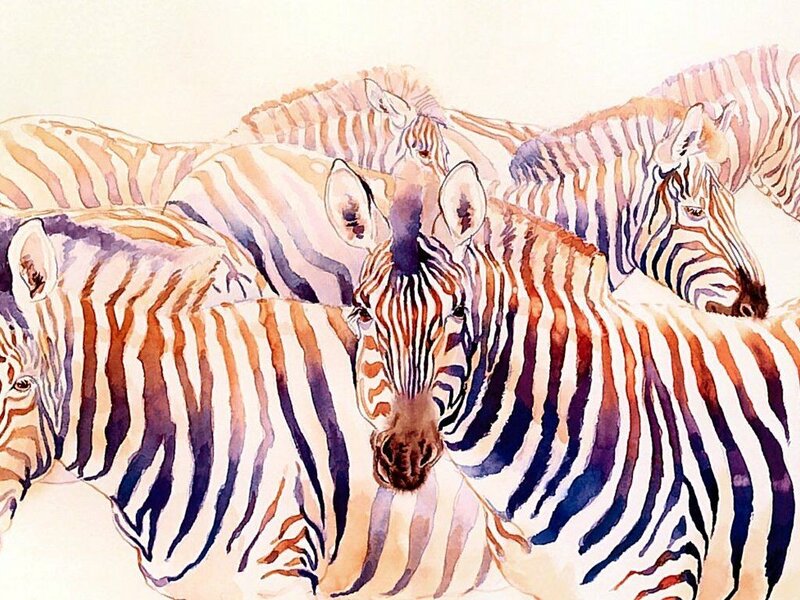 Watercolor zebras in a herd
