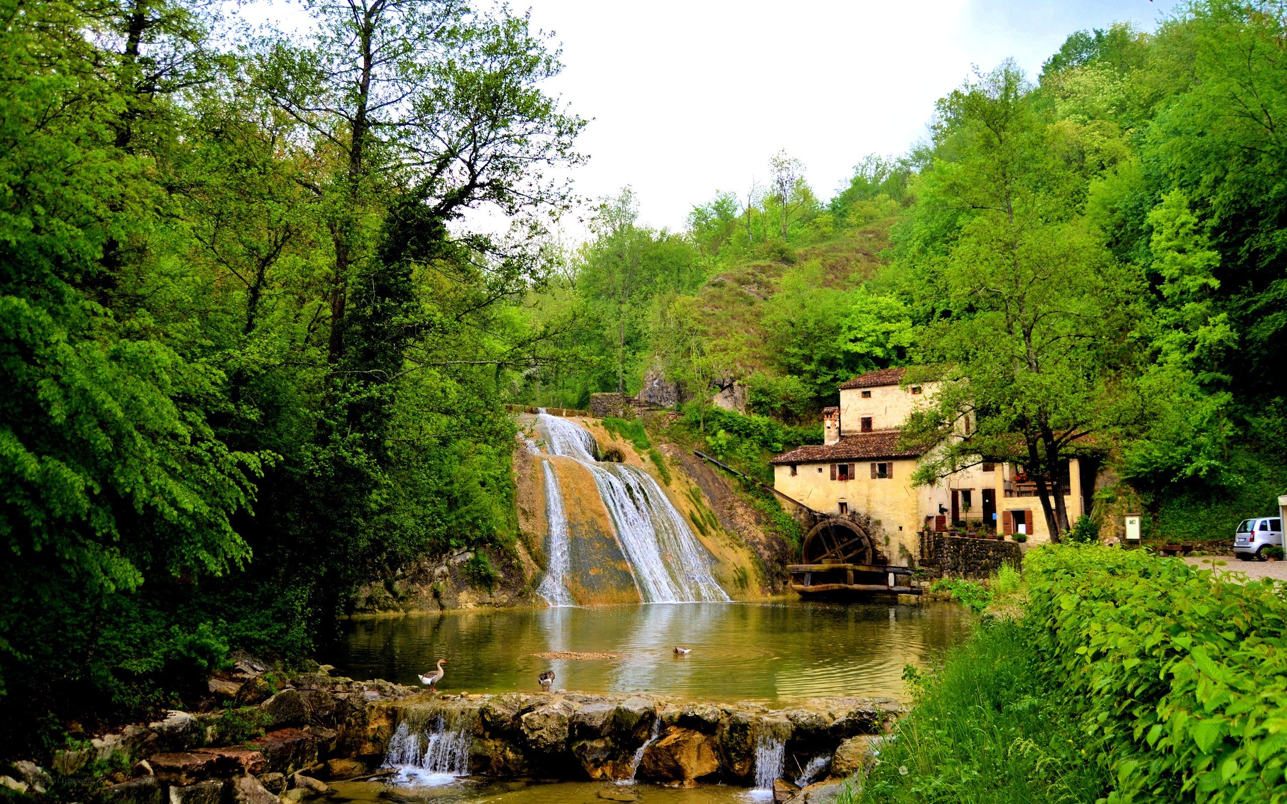 Waterfall and mill in a forest