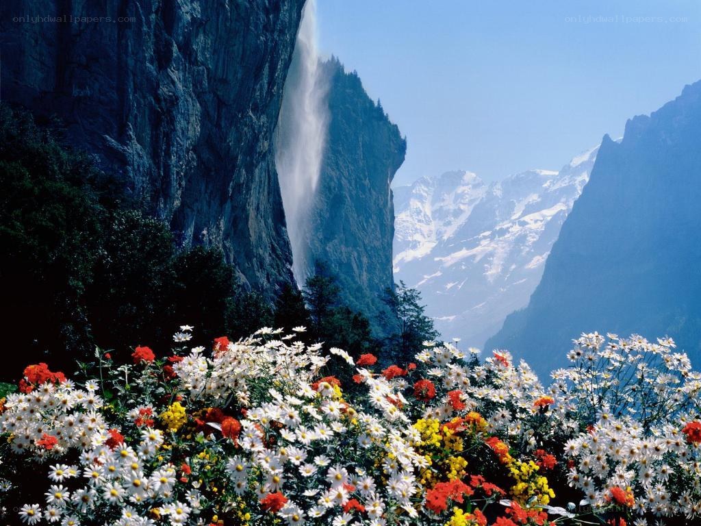 Waterfall and mountain flowers