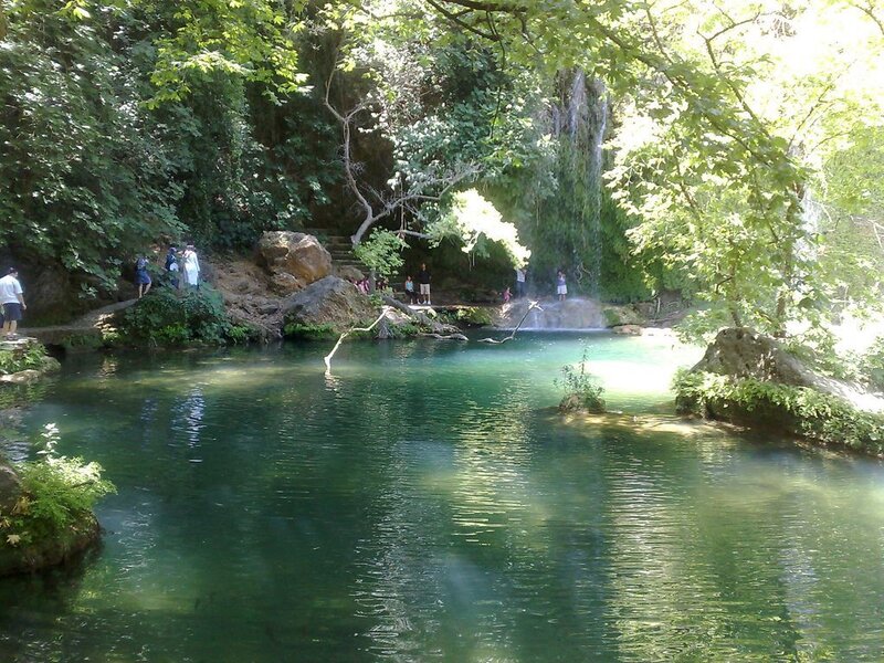 Waterfall and pool in forest