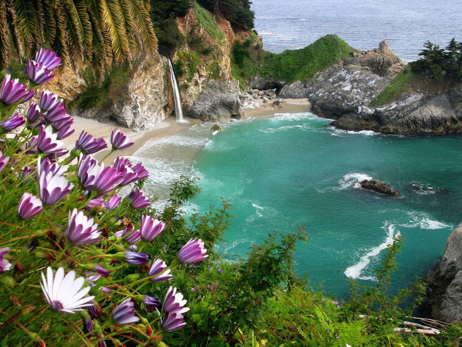 Waterfall at a coastal cove