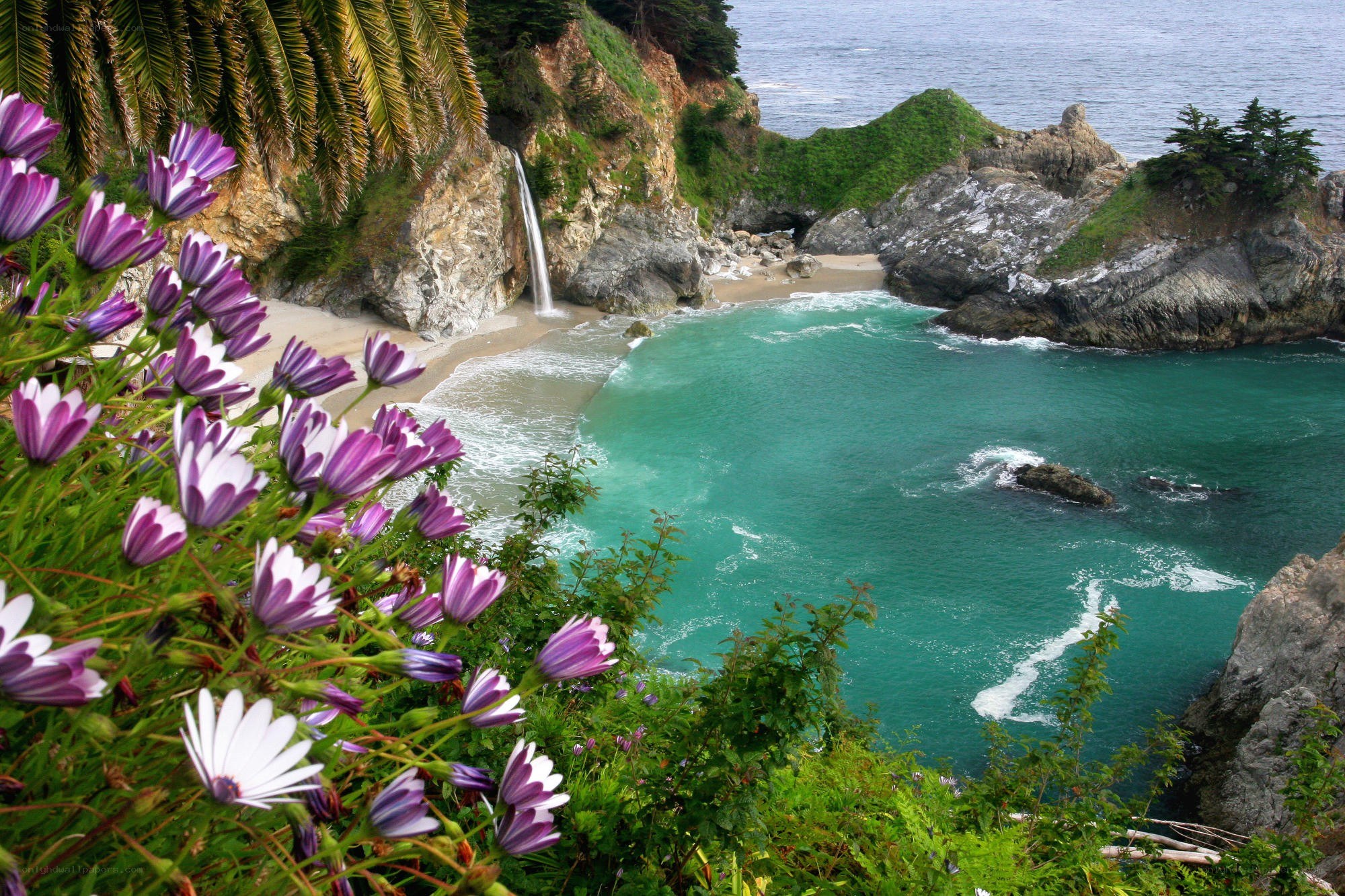 Waterfall at Big Sur beach