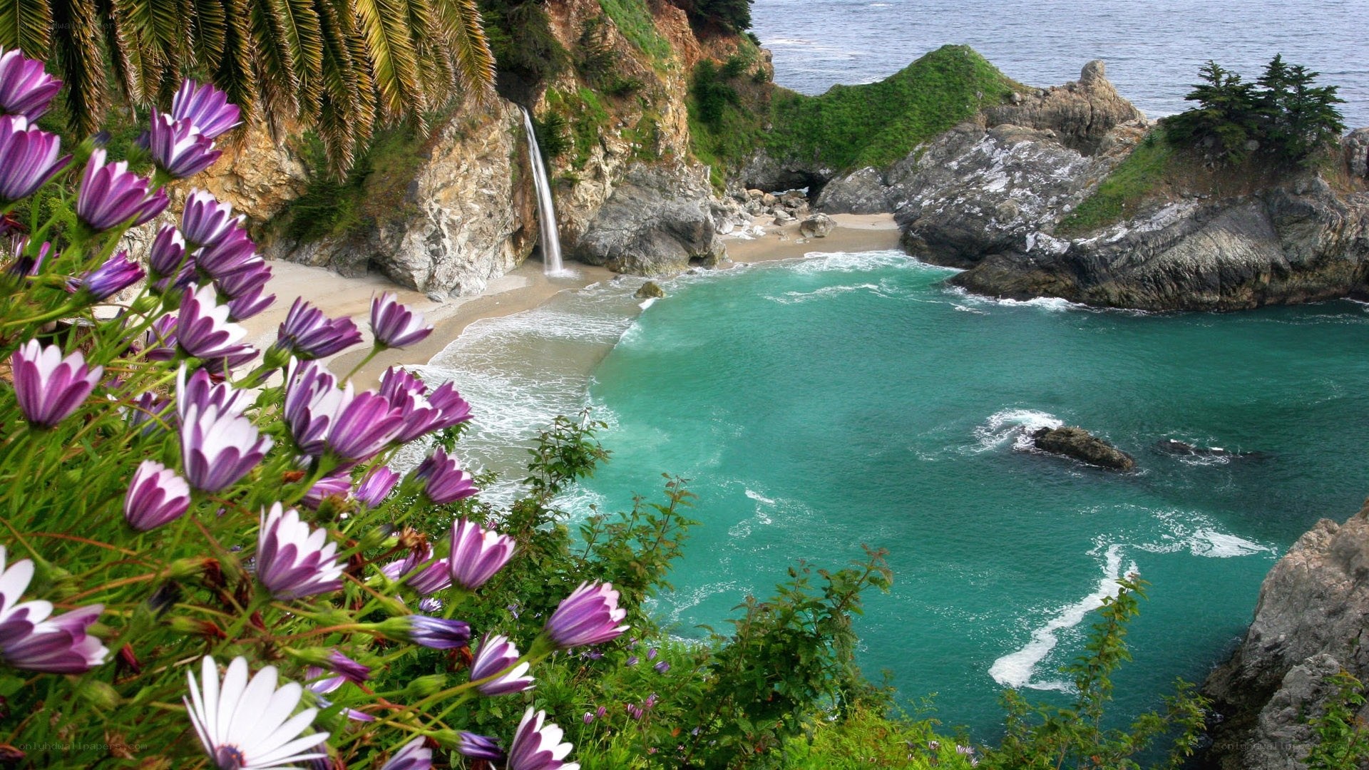 Waterfall at Big Sur beach