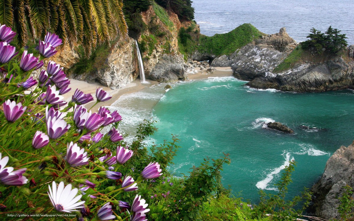 Waterfall at coastal cove