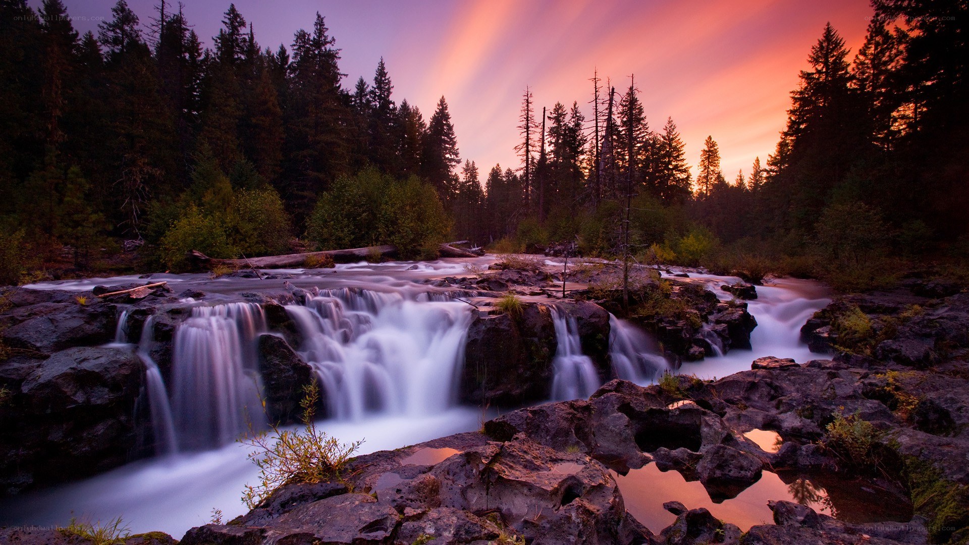 Waterfall at sunset in forest