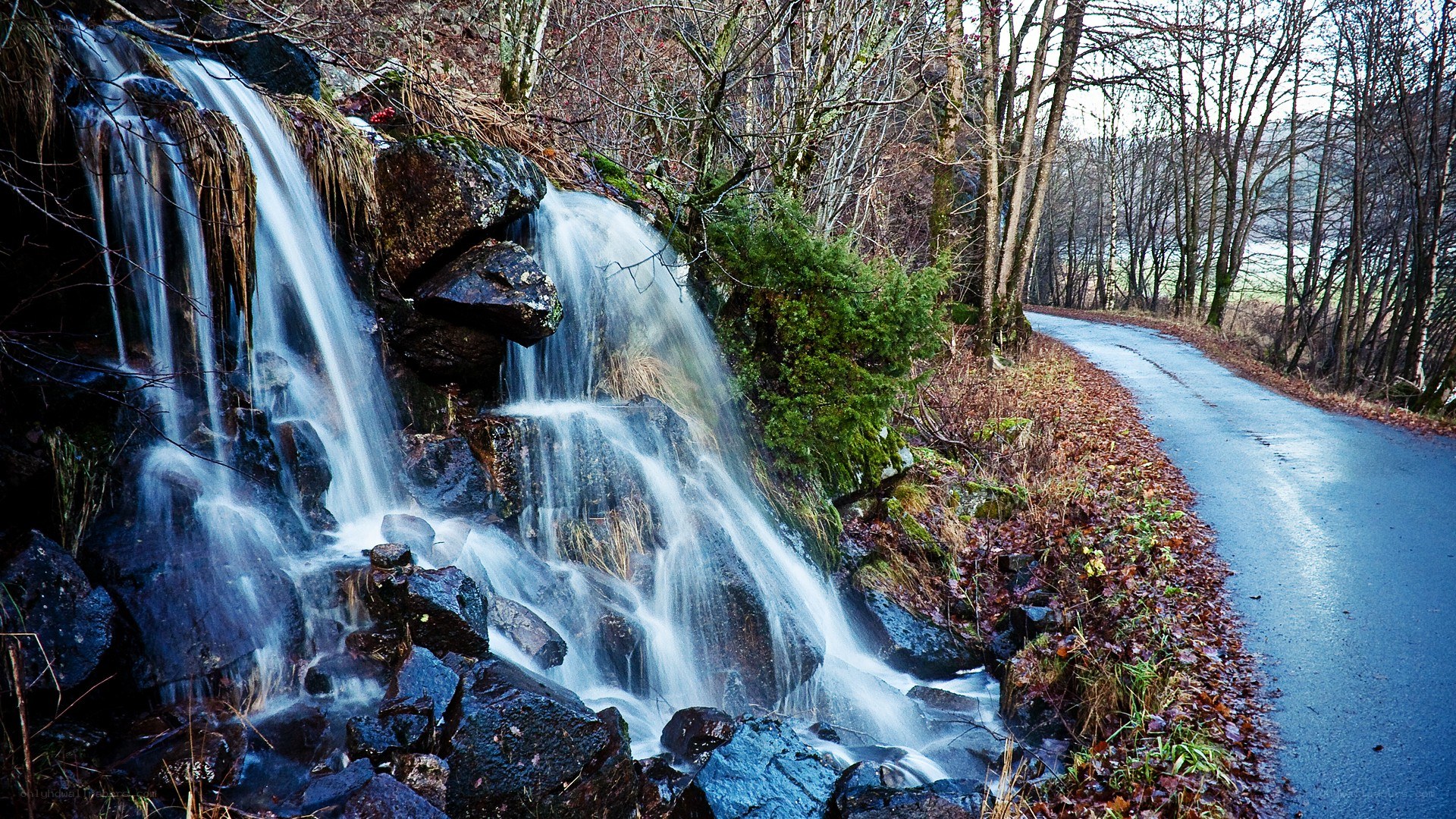 Waterfall beside a forest road