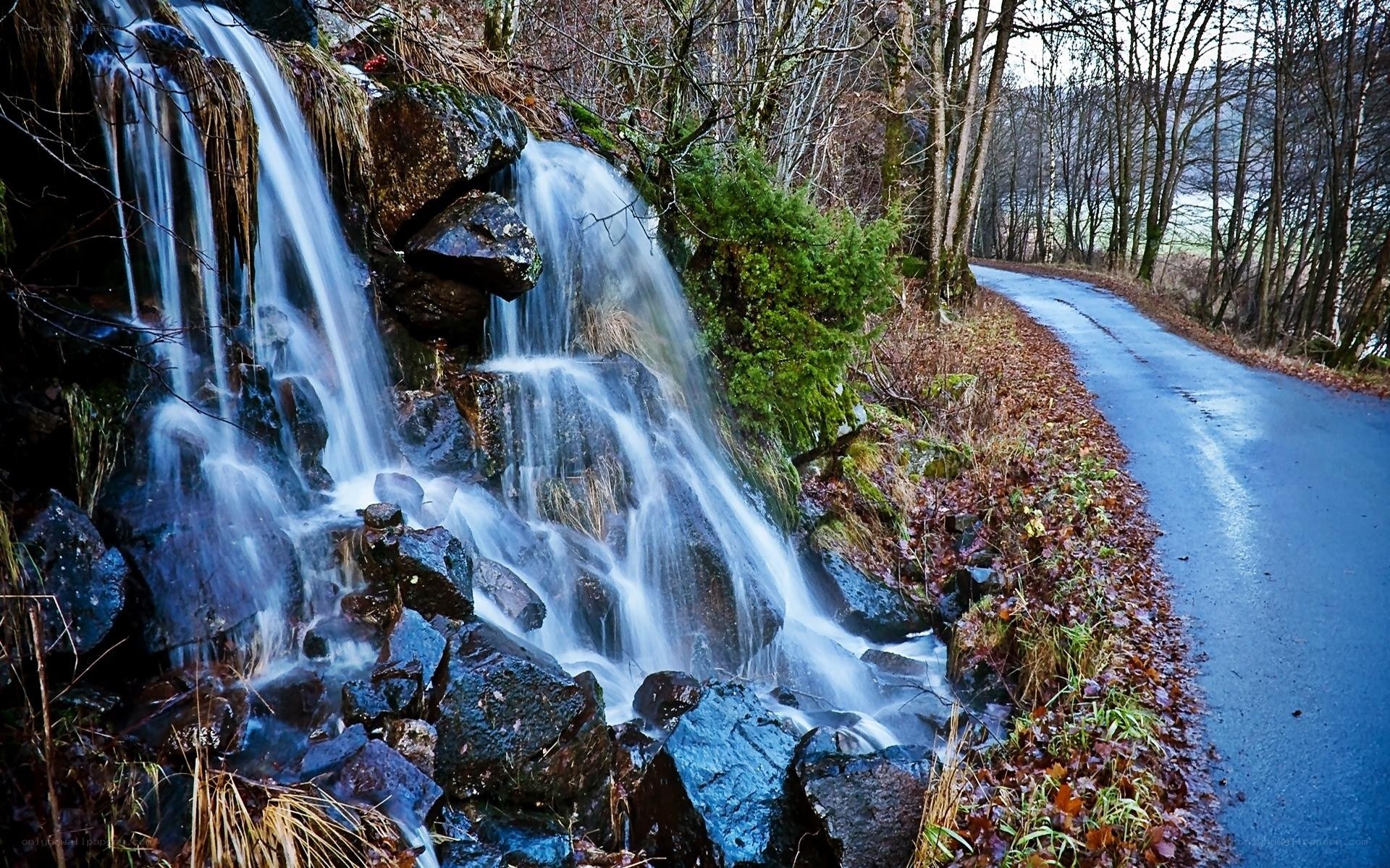 Waterfall beside a forest road